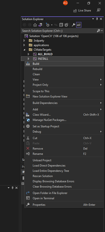 Visual Studio Build